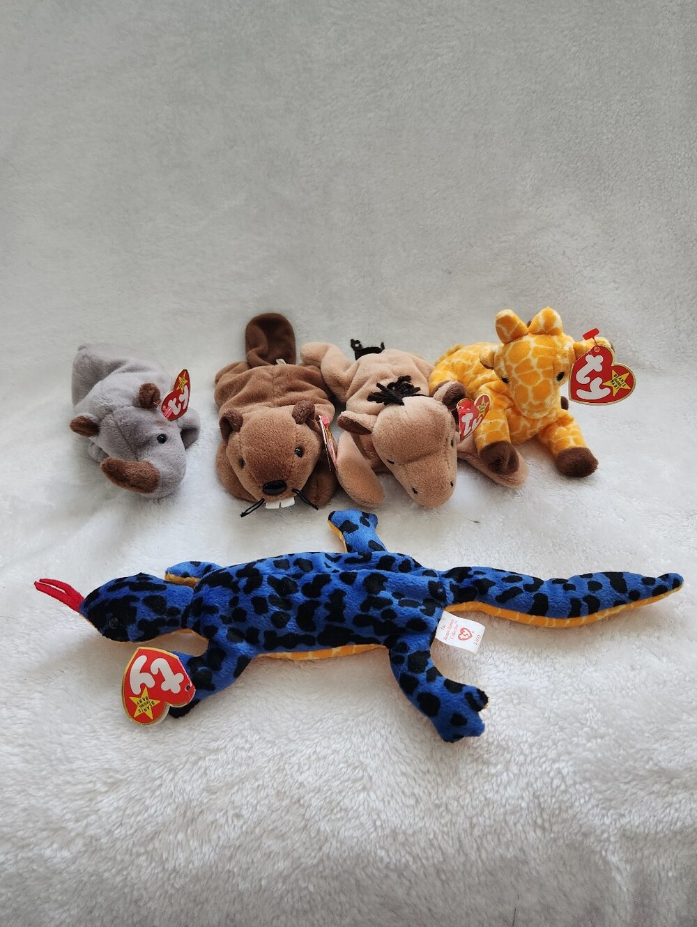 TY Beanie Babies Lot of 5 Spike Bucky Derby Twigs Lizzy Vintage Plush Tags!!